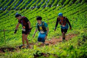 BIB: 
                            <button type="button" onclick="openModal(19162382)" class="btn btn-primary btn-sm float-right btn-popup" data-toggle="modal" data-target=".modal-high-quality">
                        <i class="fas fa-shopping-cart"></i> Add to Cart
                    </button>
                                            <button type="button" onclick="isThisMe(19162382, true)" class="btn btn-success btn-sm float-right btn-popup btn-isme hidden" data-toggle="tooltip" data-placement="bottom" title="นี่คือรูปของคุณใช่ไหม คลิกที่นี่เพื่อเอาเข้าอัลบั้ม">
                        <i class="fas fa-plus"></i> Add to album
                    </button>
                    <button type="button" onclick="isThisMe(19162382, false)" class="btn btn-warning btn-sm float-right btn-popup btn-isnotme hidden">
                        <i class="fas fa-ban"></i> Remove from album
                    </button>